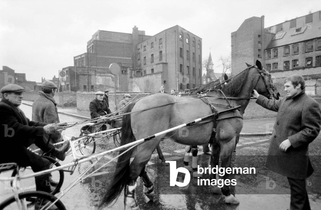 Winner of this year's Horse Trotting Exhibition along the Highway, Stepney, was 10 year old gelding, High Road Pride driven by greengrocer, Wally Hart of Stepney. Three horses took part in the exhibition for charity. The proceeds to go to helping make a happy Christmas for the Old Age Pensioners of the Derby and Joan Club in Deancross Street
Billy Walker one of the judges looking at the competitors. December 1969