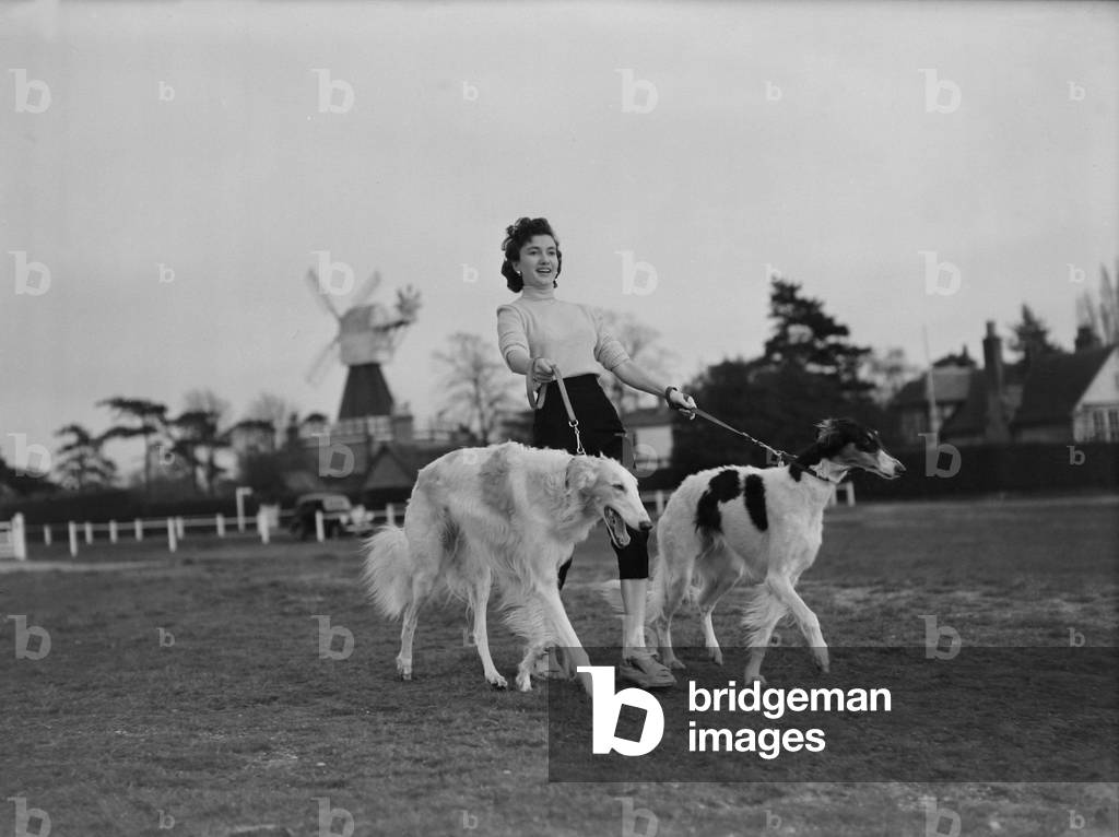 Zene Maishall, film actress, with Barzois dogs 
