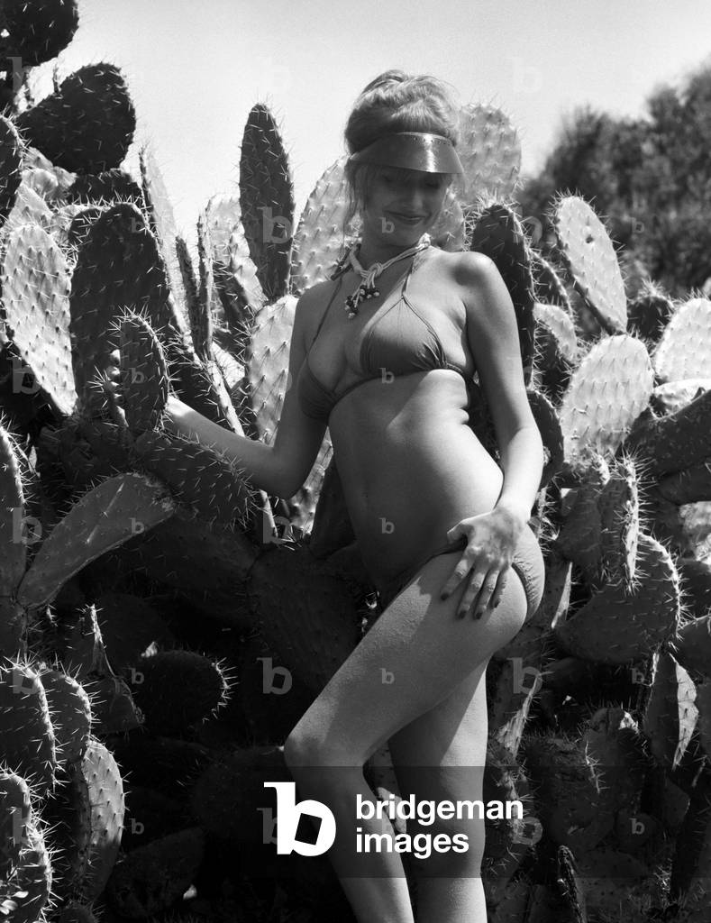 Model wearing a bikini as she stands next to a cactus in Africa April 1975 (b/w photo)