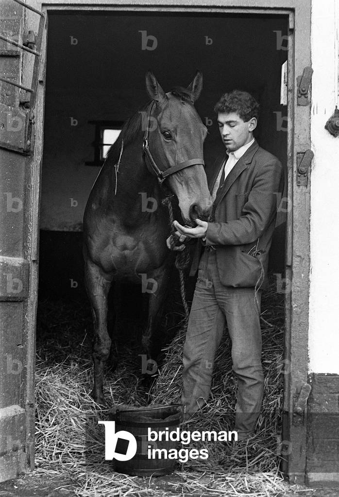 Famous racehorse Arkle with stable boy at the stables of Tom Dreaper. 3rd February 1966 (b/w photo)