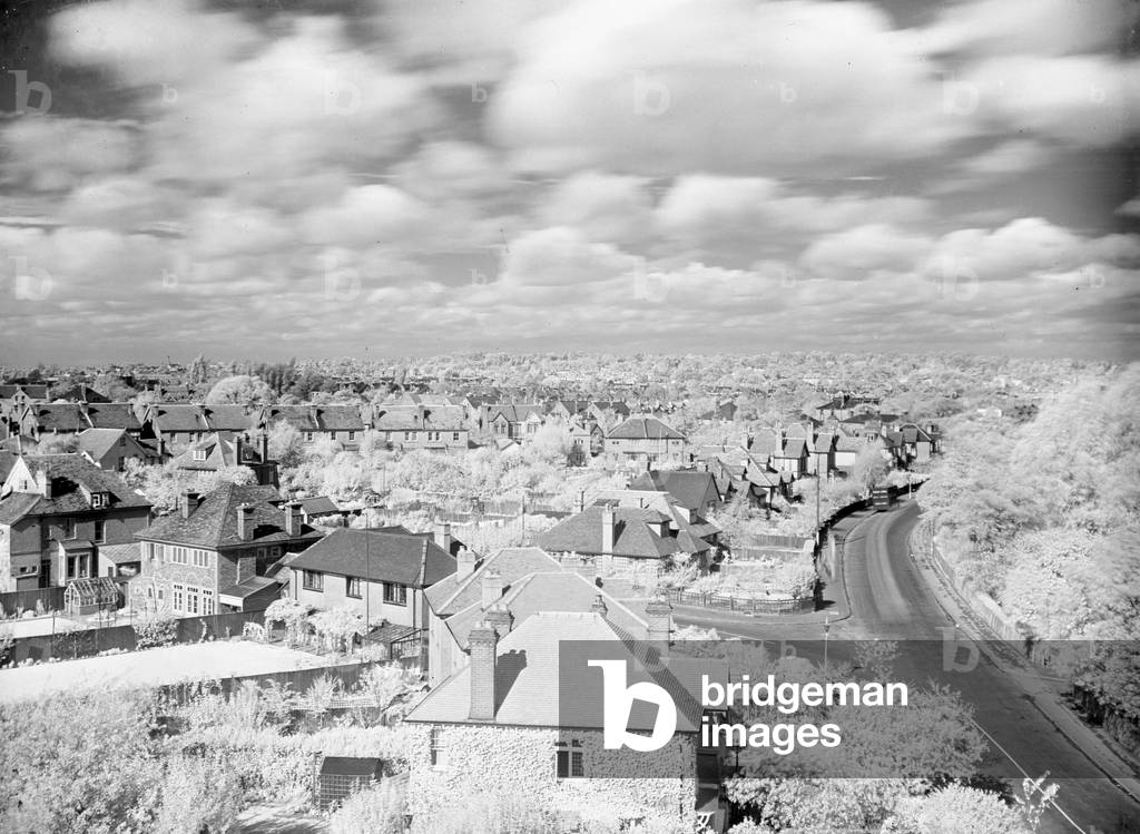 View from St James's Church, New Malden, shiwing Coombe Hill in the distance. October 1933