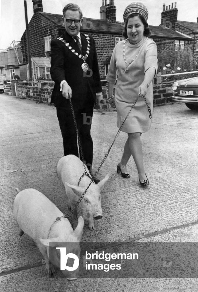 John Atkinson Chairman of the Airborough U.D.C. pictured with his wife Margaret trying out walking two little piggies. October 1972 P017074