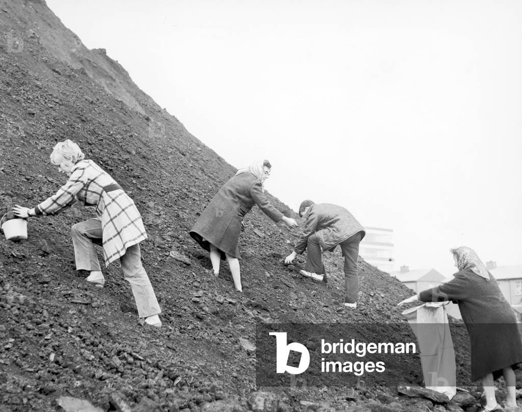 Big coal klondyke in Barmulloch Glasgow, as the local residents dig for coal in the bing, which is being flattened by bulldozers, October 1971 (b/w photo)