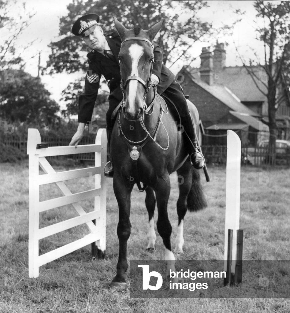 Police Sergeant Tom Rorison aboard his police horse Prince, c.1960
