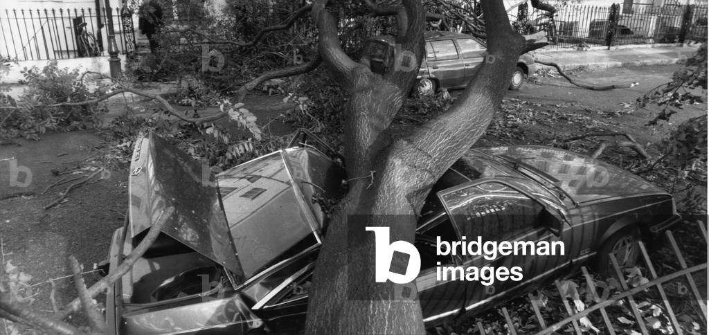 Great Storm October 1987 Dulwich South East London car crushed by uprooted tree. Oct 16 1987 (b/w photo)