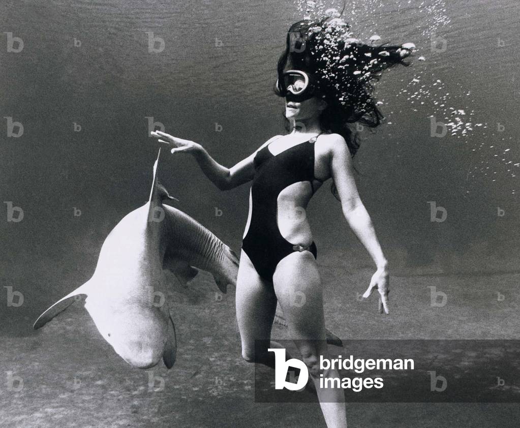 Model Marty Worsham of Florida glides through the waters with a shark in silhouette trikini with gilt and leather trim in nylon and lycra, Kings Bay Florida, USA, August 1979 (b/w photo)