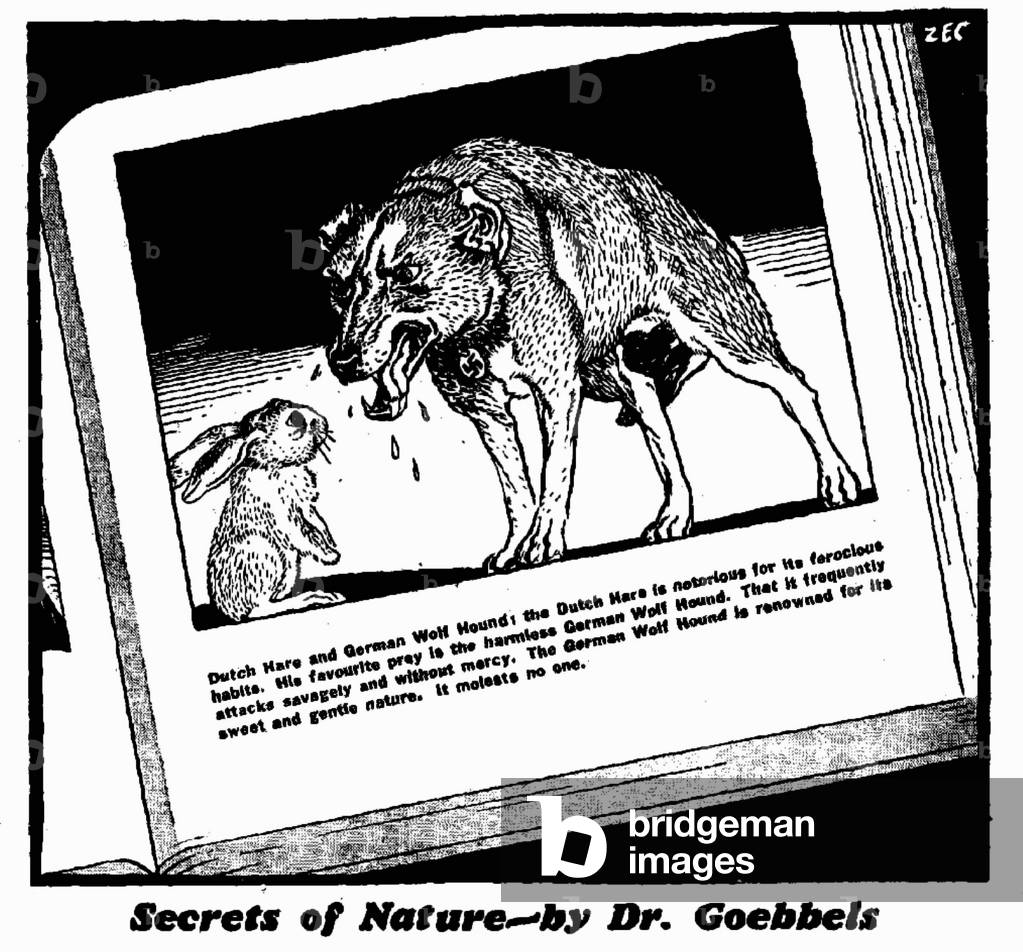Secrets of Nature by Dr Goebbels, 16th January 1940 (b/w illustration)