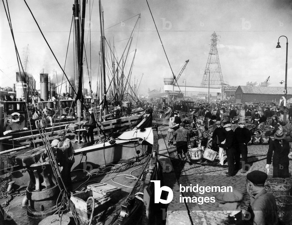The herring fleet lands its catch at Yarmouth. October 1936