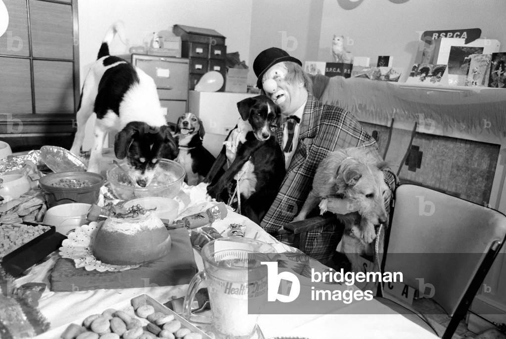 Dogs Christmas Party. 'Hobo' plays host to the doggy guests enjoying a menu of biscuits, dog-meat, turkey gravy-sauce and chocolate-drops. 
December 1970