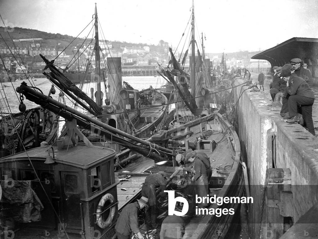 Alfieri. Mackerel fishing at Newlyn, Cornwall. View of Mackerel on deck of Lowestoft drifter, 1st February 1923