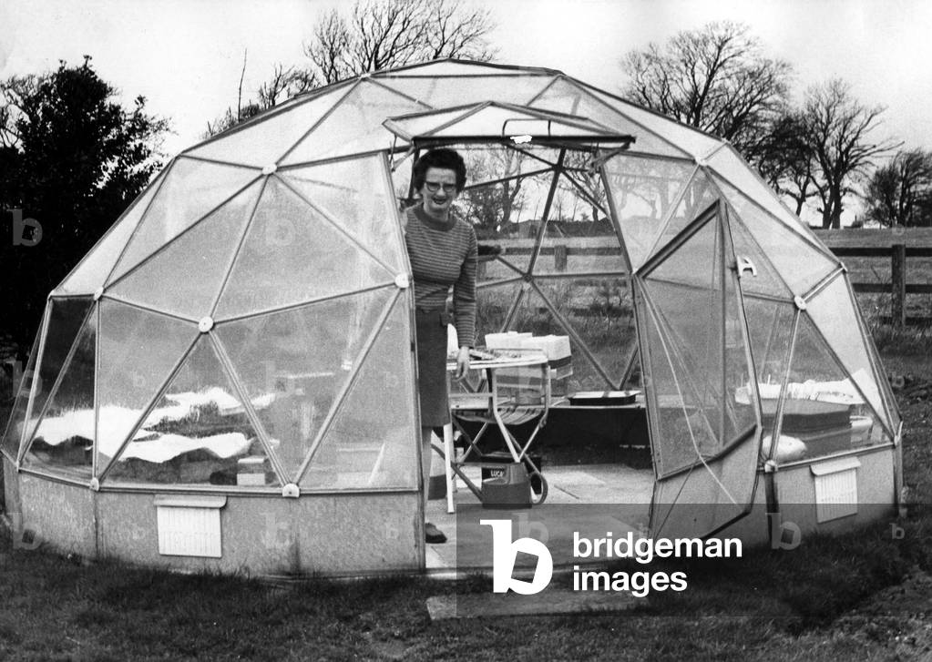 In March 1974, The Evening Chronicle reported on one womans geodesic dome greenhouse. Which raised the problem of why anyone would want an ultra-modern greenhouse at the bottom of their garden. The answer is that Mrs Hall of Low Gate, near Hexham, had always wanted a greenhouse. But her garden is on an exposed hillside and the standard type of greenhouse just couldnt stand the battering from the wind. However, her problem was solved when she saw an advert for the dome in a womans magazine. Her husband was left with the complicated job of putting the dozens of triangular glasses together, 19th March 1974 (b/w photo)