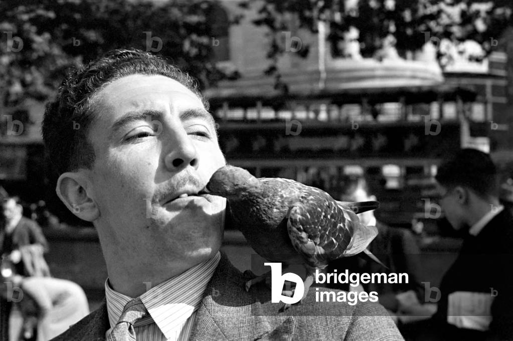 Pigeons in Trafalgar Square. 
January 1939 
OL307J-002