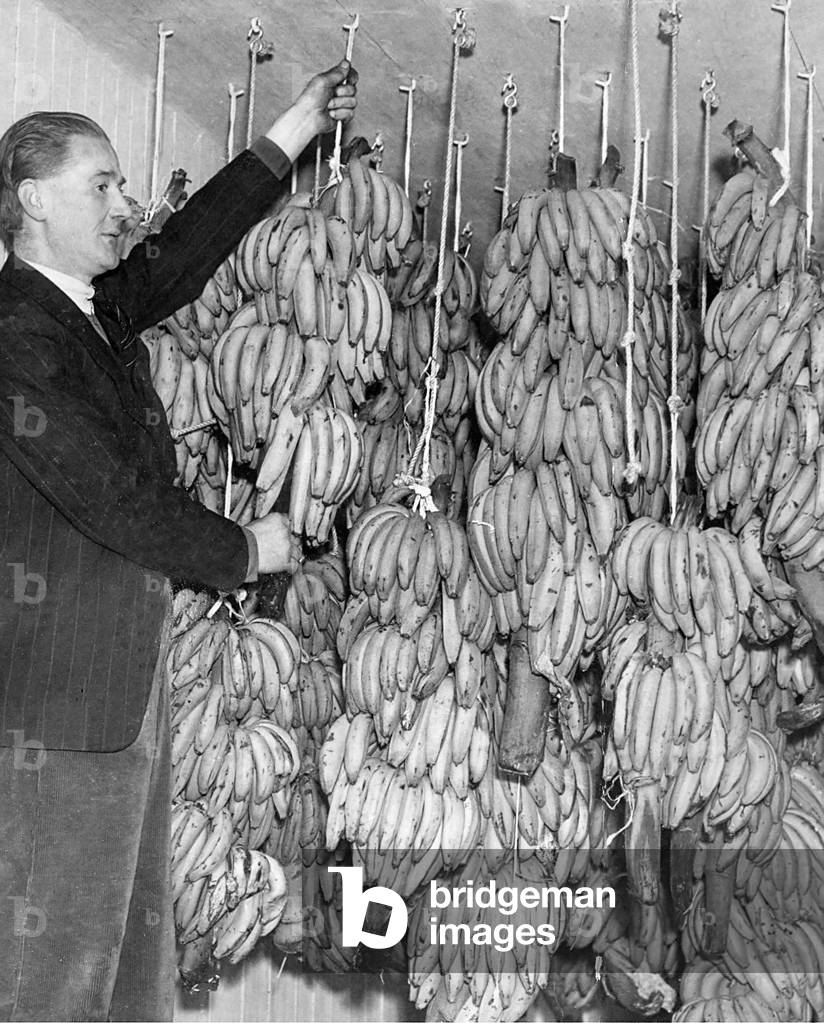 The first bananas to arrive in the North East post-war at New Bridge Street goods station, February 1946 (b/w photo)