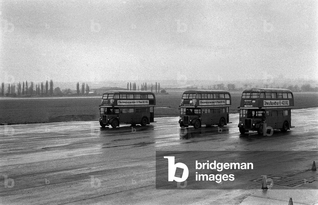 Red Arrow Double Decker Buses, June 1979 (b/w photo)