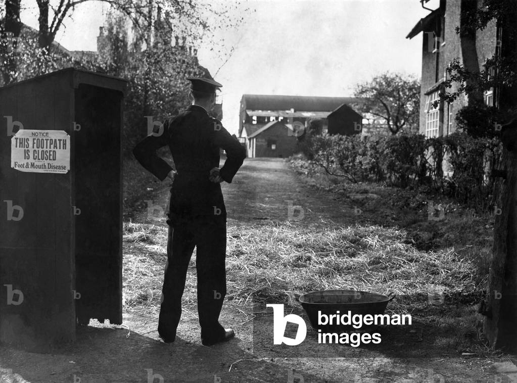 The notice forbidding entrance; the watchman's hut; The Police Officer; the bath of disinfectant, and the straw strewn path show that another farm has been stricken with foot and mouth disease, April 1952 (b/w photo)