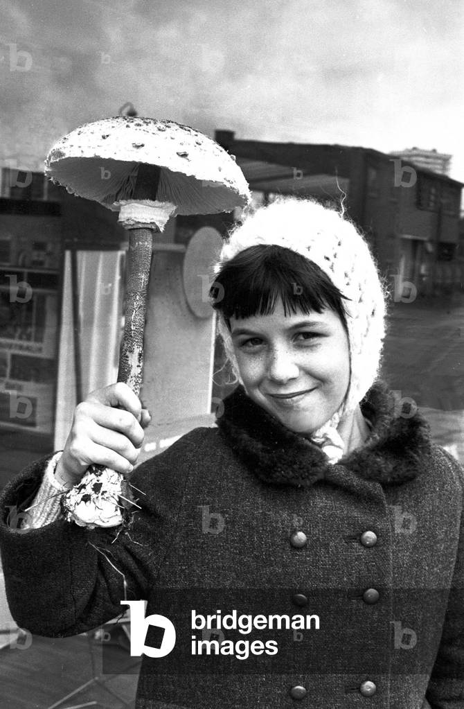 This young girl has a very unusual umbrella. The parasol mushroom was found in Coventry.
14th October 1967