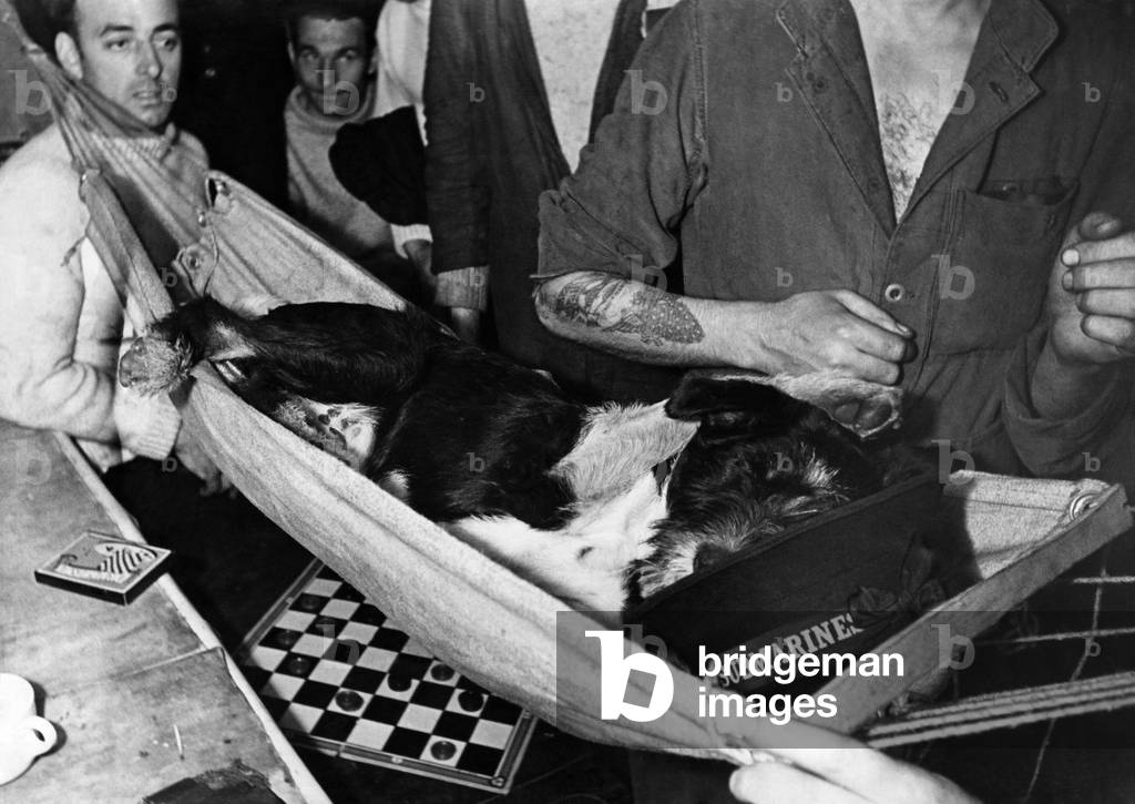 World War II: Mascot. 