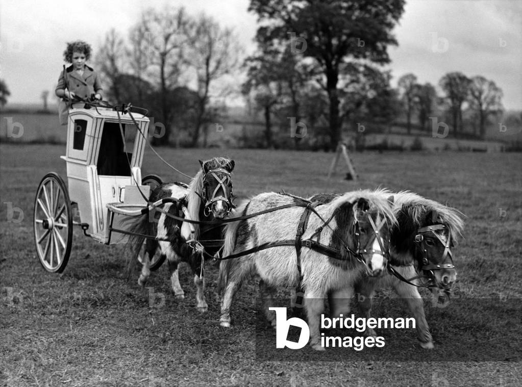 Children & Horses, November 1946 (b/w photo)