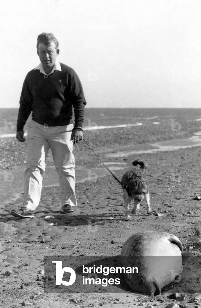 When will we ever learn? A seal lies dead on a bright blustery beach not far from families enjoying their summer holiday. It is a seaside snap from Norfolk that should shame the Government. Experts say our seals are being killed off by a deadly distemper virus. And their immunity is being lowered by the millions of tons of chemical waste being poured into the North Sea every year. The pollution crisis is highlighted by the case of the poison-packed ship Karin B, which was turned back from British ports yesterday. Each tide brings more victims to the shores where seals used to delight children as they splashed and played. Their bright eyes are dimmed and their shiny coats dull in death. Paul Vodden of Greenpeace forecast, 
