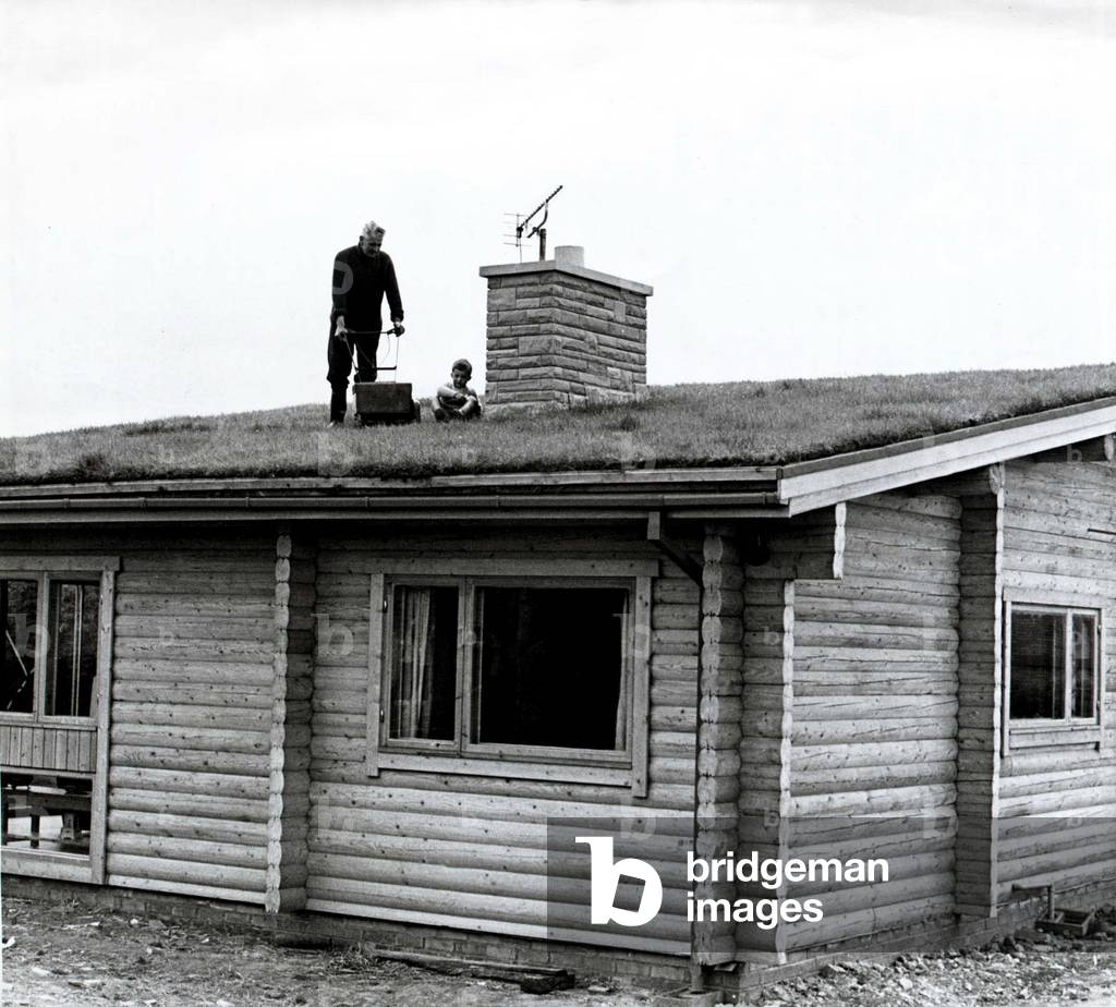 Mr Cooper pictured mowing the lawn on the top of his log cabin, watched by his grandson Graham, 25th June 1968 (b/w photo)