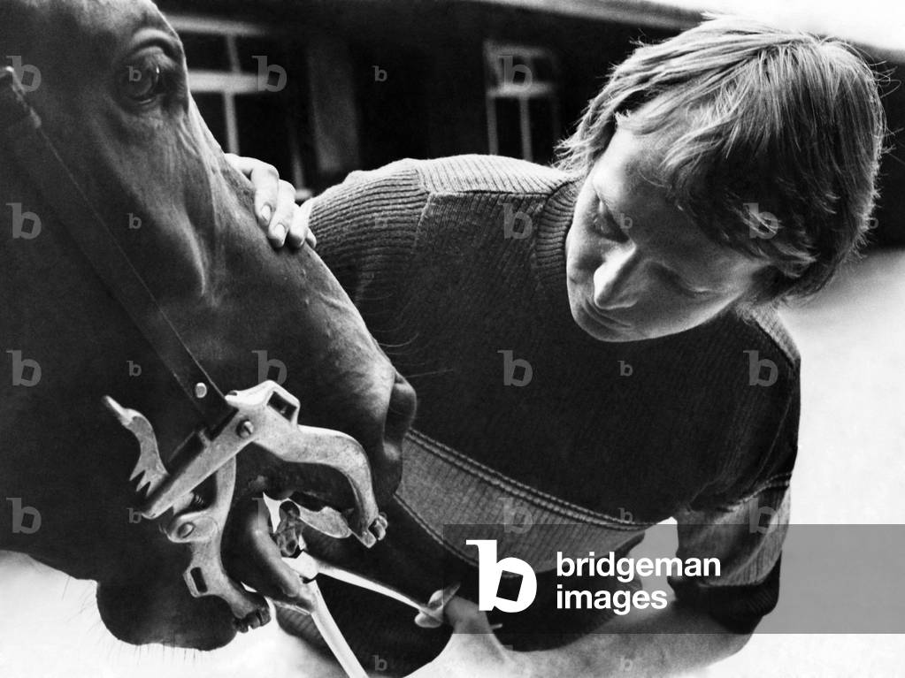 Horse dentist Gordon Holmes treating a patient at The Stables, Greystoke, near. Penrith. September 1974