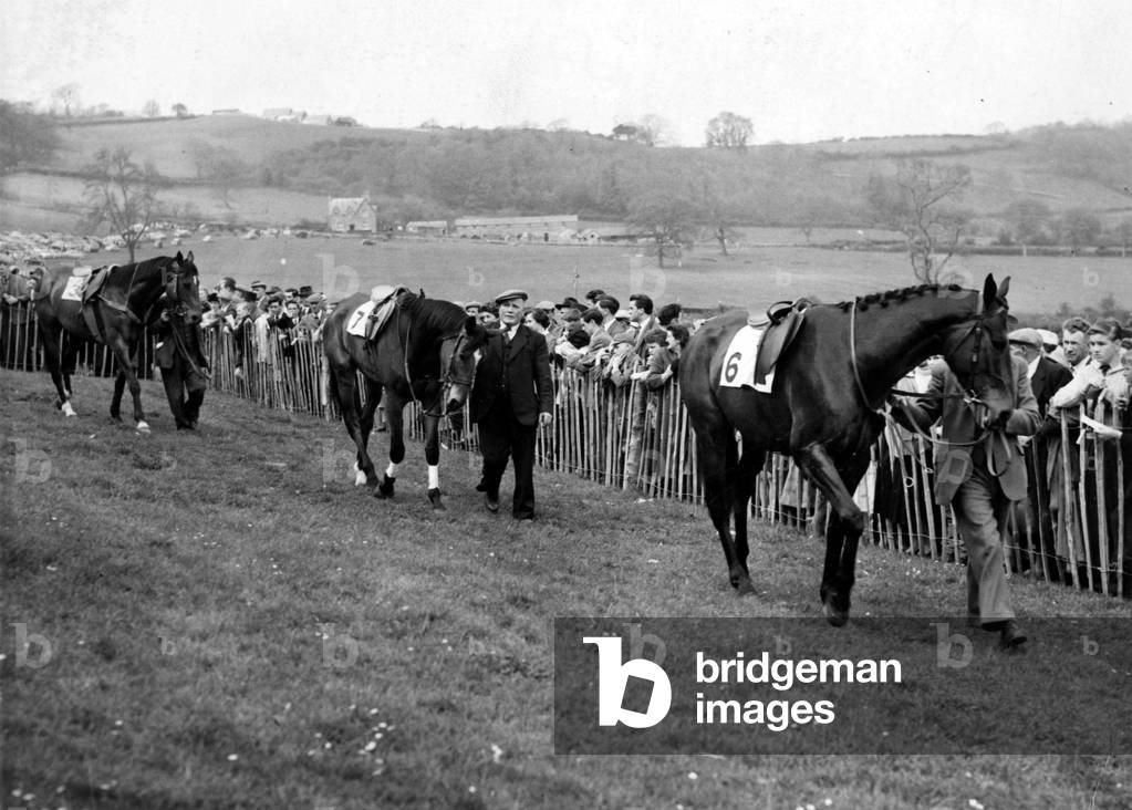 Horse Racing - Point-To-Point - Horses being lead out before a race - Circa 1957. No other details.