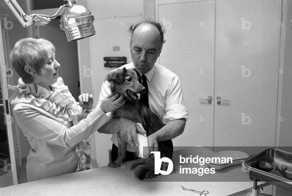 Battersea dogs home opens new wing. June 1970