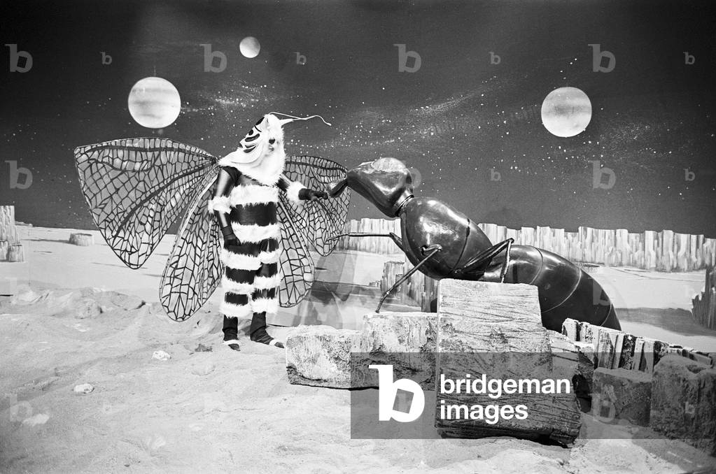 The Dr Who television serial written by Bill Struttonwill, 'The Web Planet'. BBC TV film studio at Ealing. The storyline is, they land their ship, The Tardis, on the mysterious planet Vortis, a land of bubbling acid pools and mists, and it is not long before their existence is in peril from a new monster - The Zarbi (designed by John Wood). The Zarbi has an ant like appearance. The Zarbi gun looks like a giant wood louse. The Menoptera (a good monster) looks like a butterfly. Original transmission date 13th February 1965. 5th January 1965