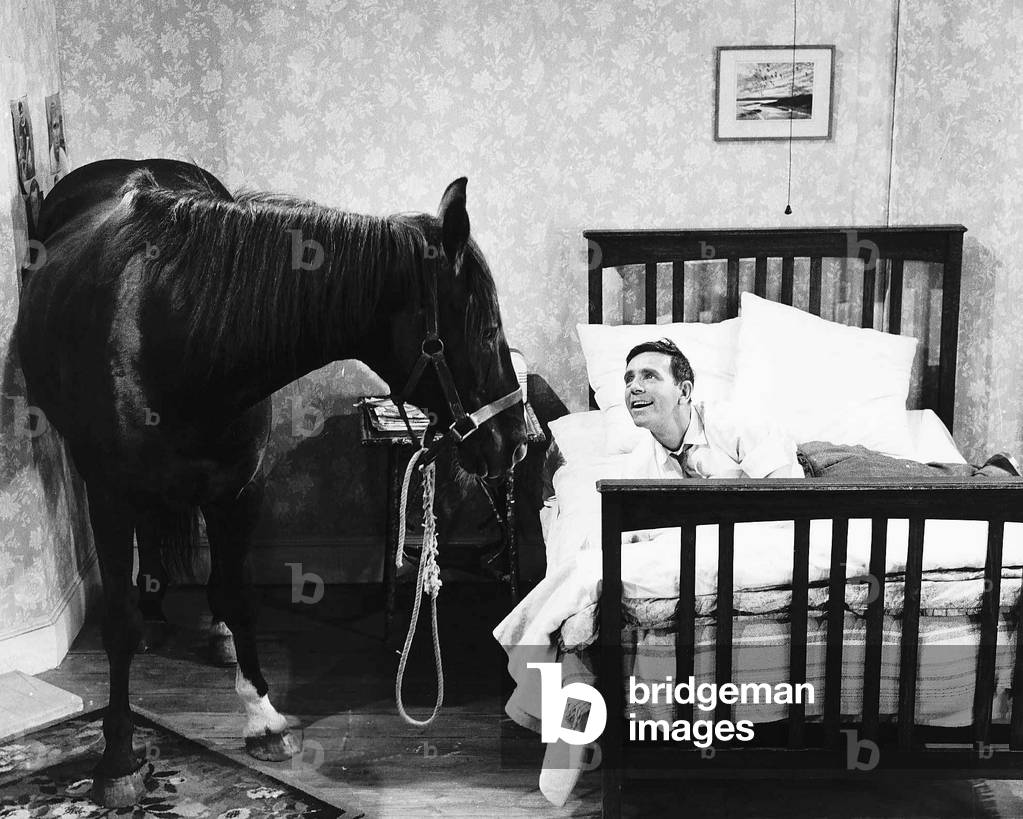 Norman Wisdom Comedian / Actor in bed with Nellie the Horse in a scene from the film 