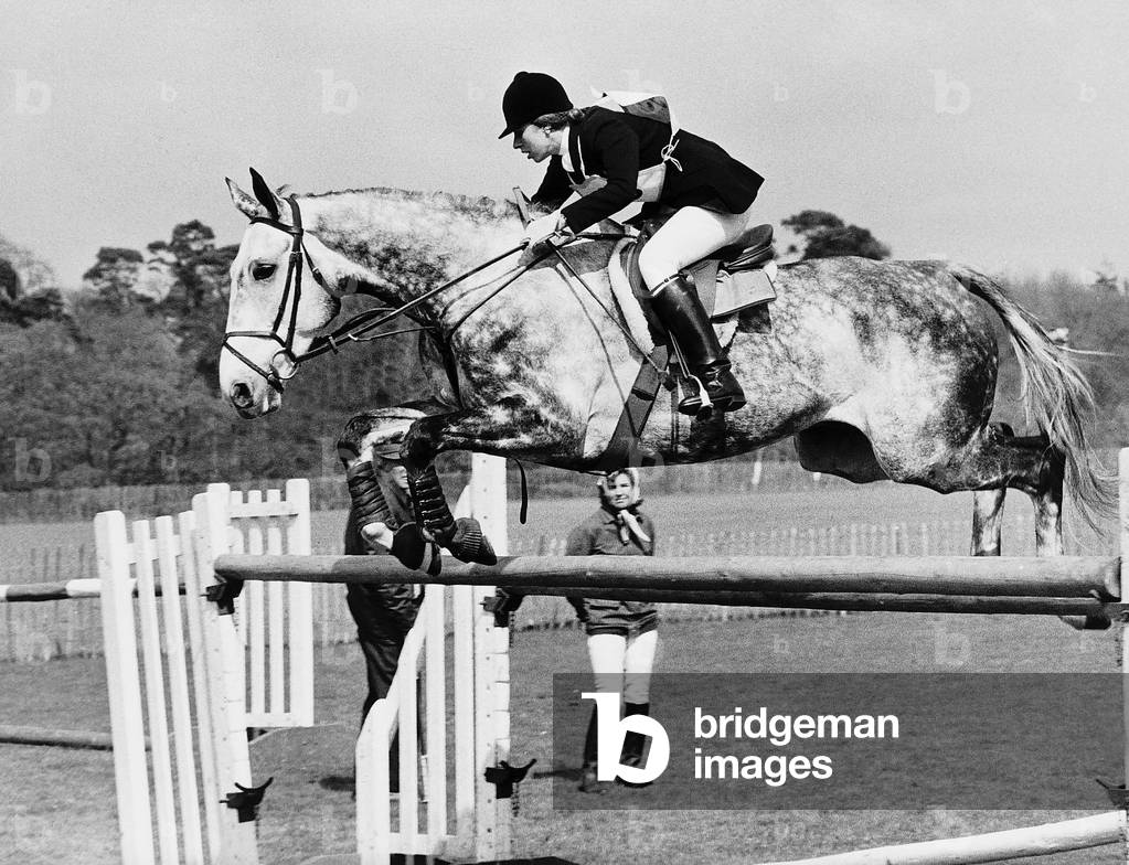 Columbus the horse of princess Anne clearing an obstacle in the show jumping section of the Windsor horse trials, 20/04/1972 (b/w photo)