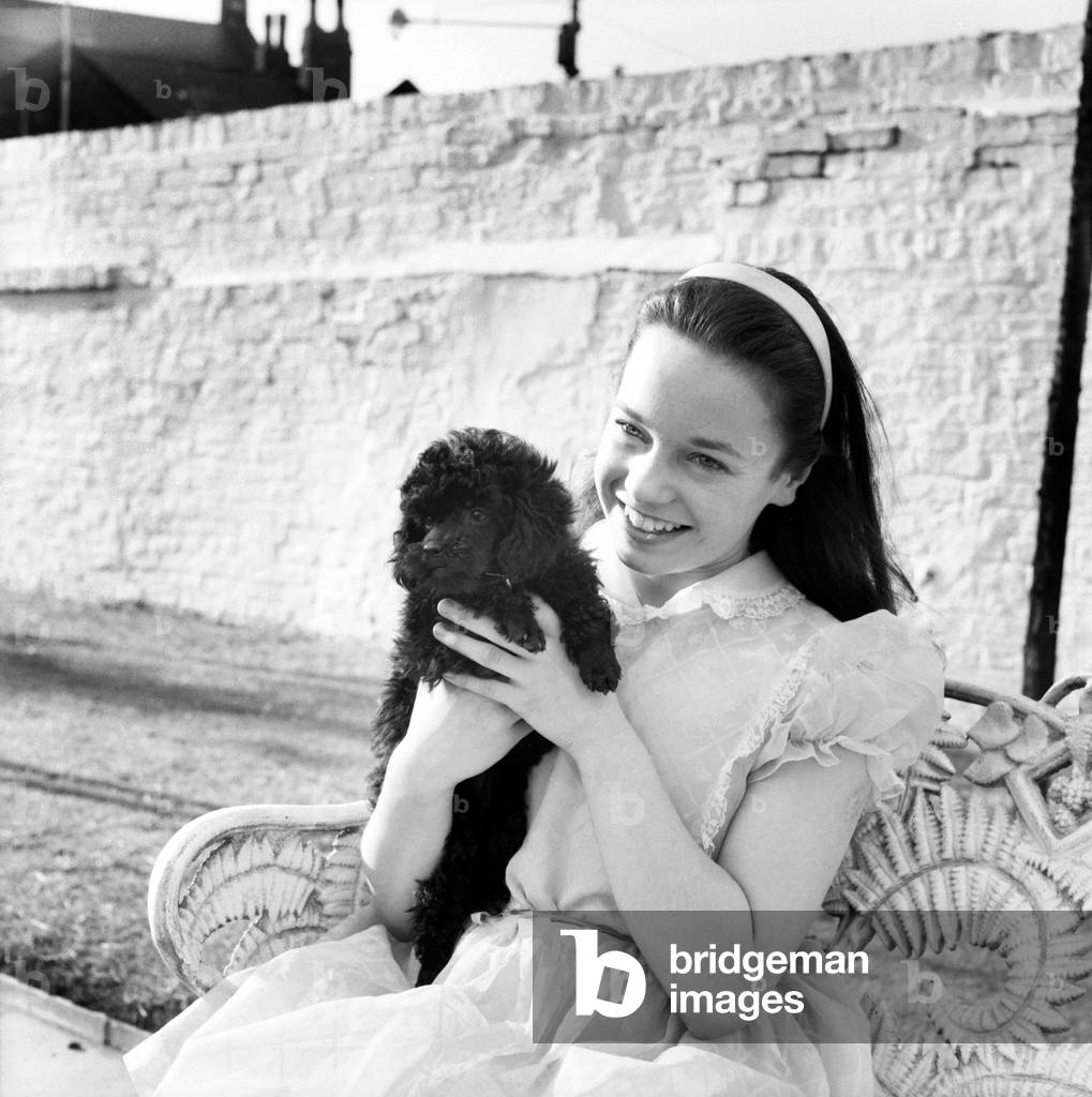 Girl holding a cute poodle dog.