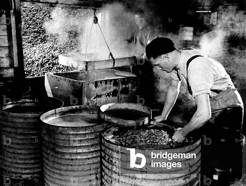 Cockle Industry Leigh on Sea, Essex. May 1938.