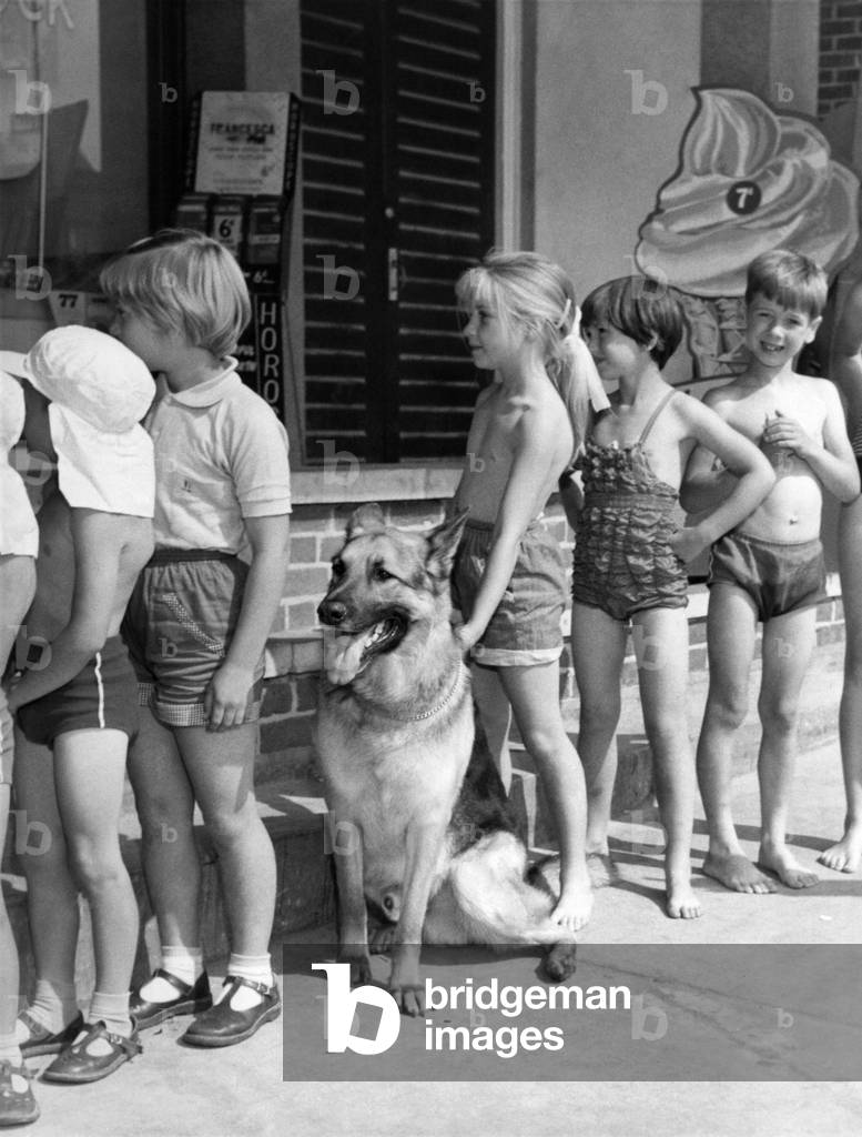 Ranger waits his turn with the children who have shared his secret for so long, August 1964 (b/w photo)