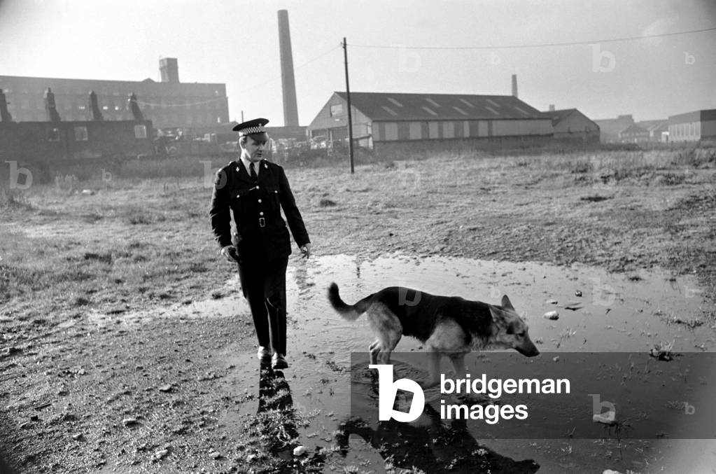 Police man and dog search for a man on the run at Droylsden. 
December 1969