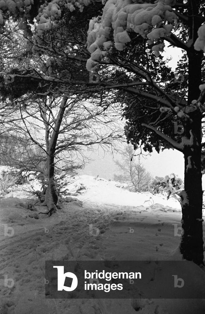 Snow Scenes at Oxshott during the winter of 1940