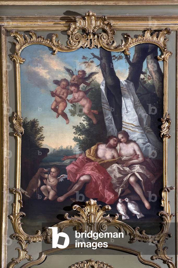 Venus and Adonis Painting of the Italian School (18th century) Salon, Bank BNL, Turin Italy