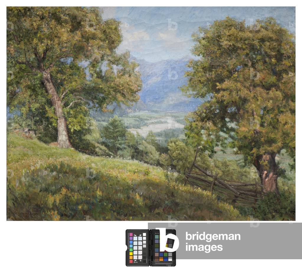 Val Vigezzo, study of landscape, 1925 (oil on canvas)