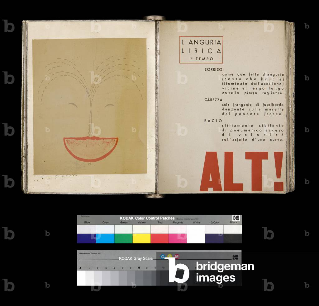 ALT, illustration from 