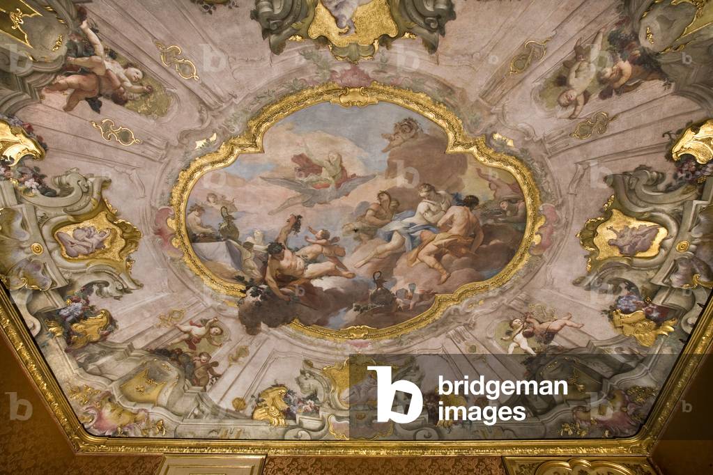 View of the ceiling, Palazzo Clerici, Milan, Lombardy, Italy (photo)
