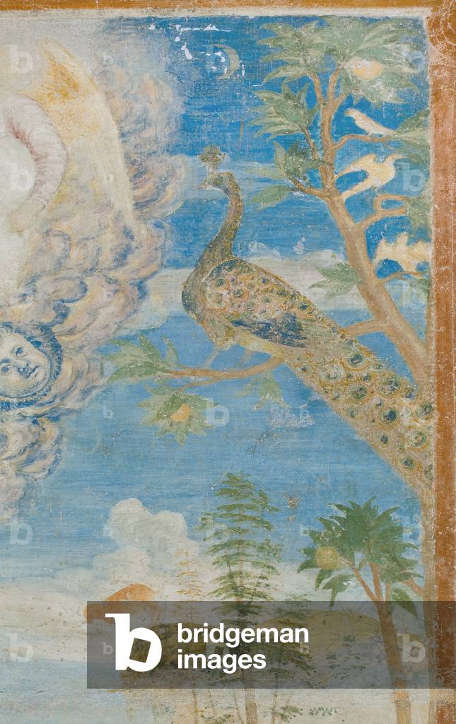 Peacock, detail of 3496206 (fresco)