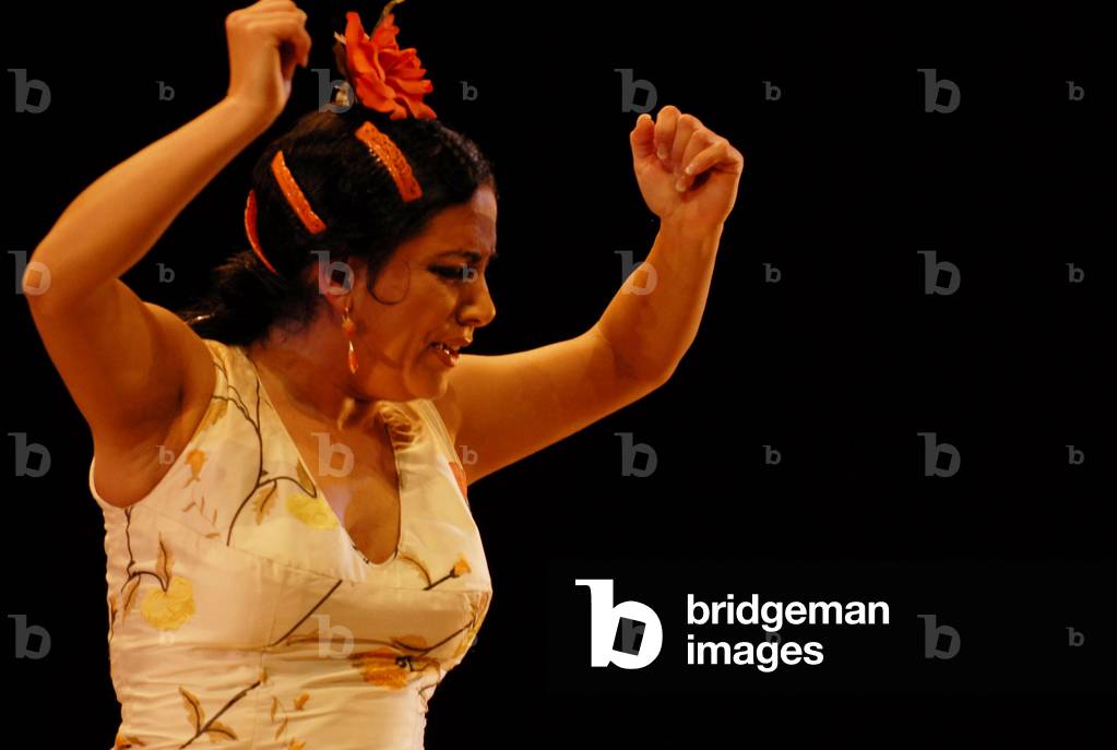 Ballet Flamenco 's 'El