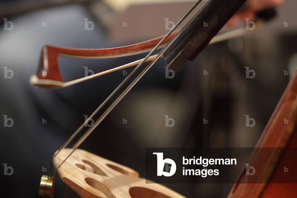 Double bass