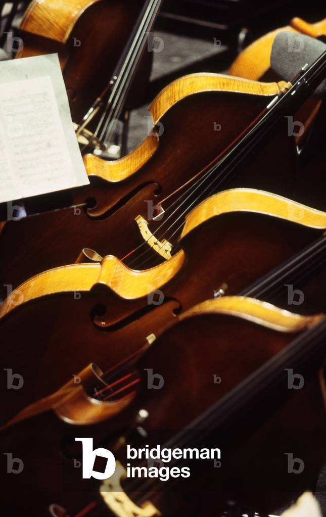 Doubble-bass in the orchestra