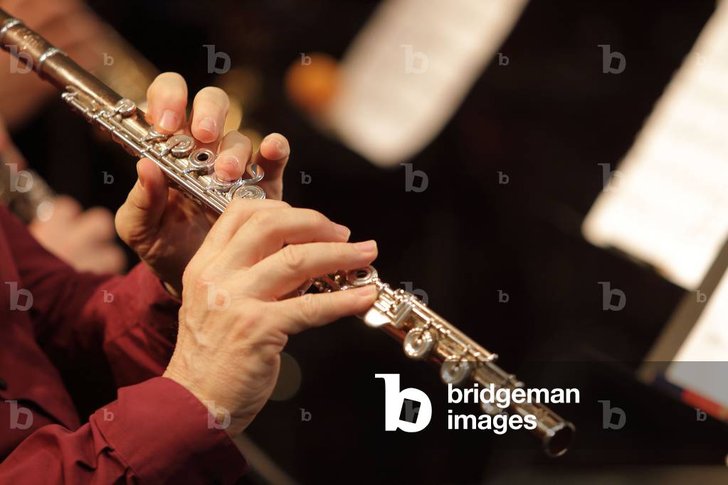 Flute and Flutist's Hands