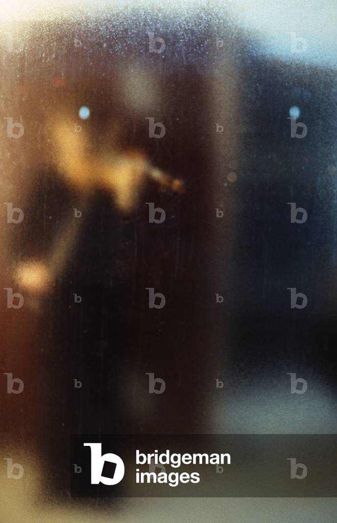 blurry photograph of a violinist behind a window (photo)