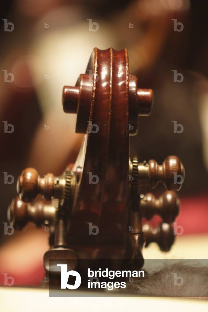 Double bass - close-up of the scroll. Top of musician's head visible.