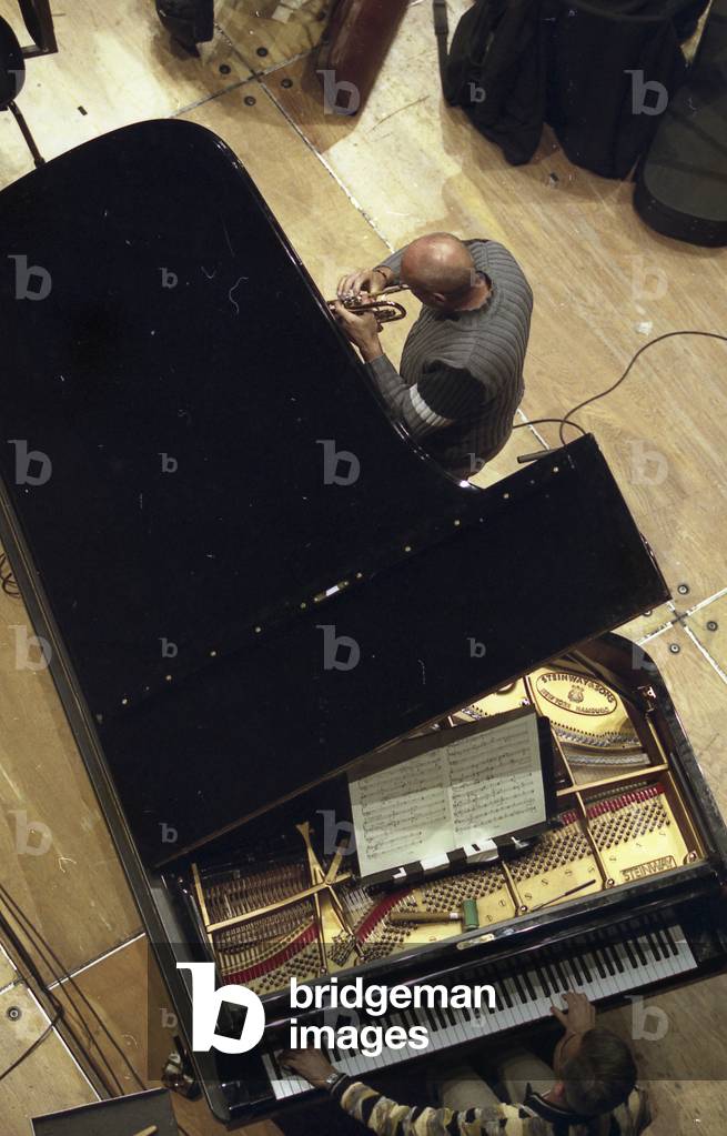 Trumpet played into a grand piano. Birdseye photograph.  Contemporary music performed by the Ensemble Intercontemporain, Paris 2009. Special effects.