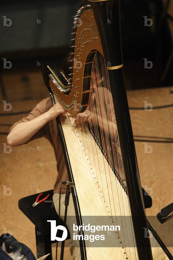 Frédérique Cambreling - French harpist performing at the 'Ensemble Intercontemporain', Paris, France, 2 October 2006.