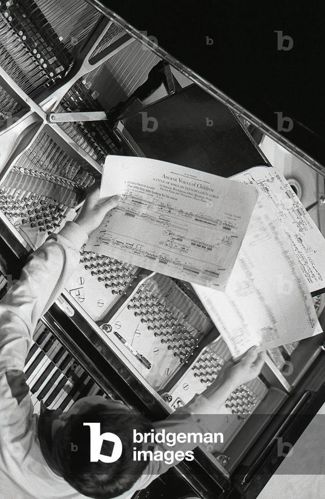 Piano - view from above of someone tuning a grand piano.