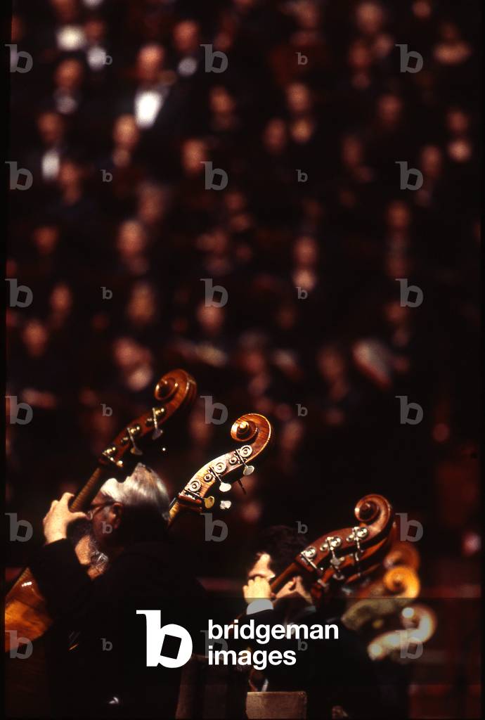 Double Basses - the upper part of double basses being played in concert. Audience can be seen blurred in background